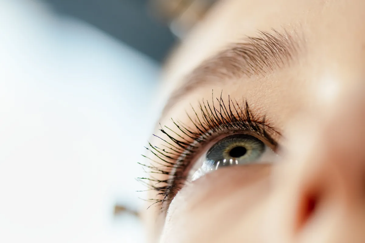Detailaufnahme einer Lash-Lift und Wimpernbehandlung